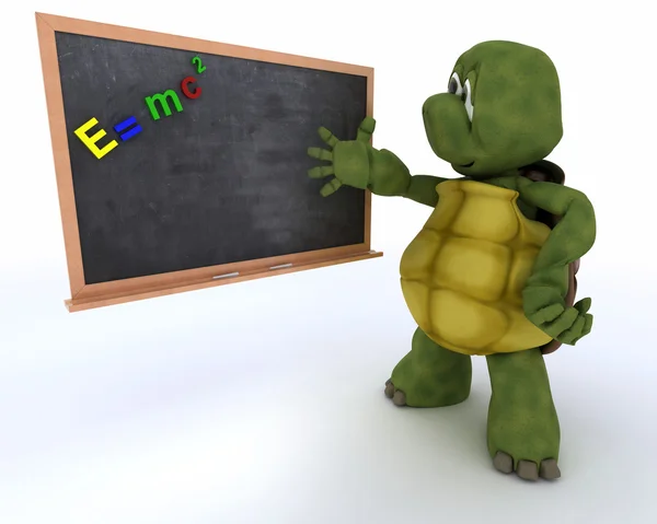 Tortoise with school chalk board — Stock Photo, Image