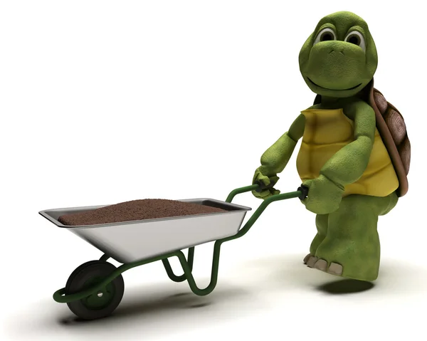 Tortoise gardener with a wheel barrow carrying soil — Stock Photo, Image