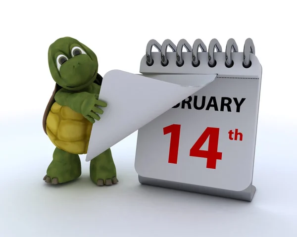 Tortoise with a calendar — Stock Photo, Image
