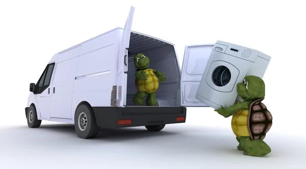 Tortoises loading a washing machine into a van — Stock Photo, Image