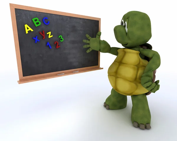 Tortoise with school chalk board — Stock Photo, Image
