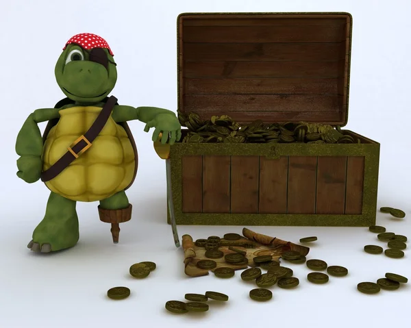Tortoise pirate with a treasure chest — Stock Photo, Image