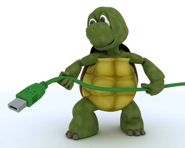 Sköldpadda med en firewire-kabel — Stockfoto