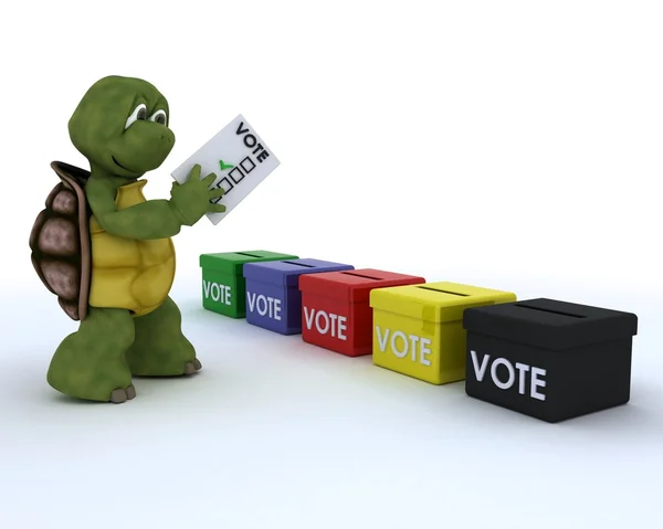 Schildpad een stemming gieten in verkiezingen — Stockfoto