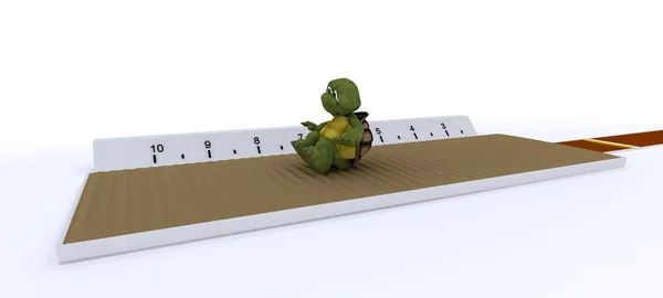 Tartaruga competindo em salto em comprimento — Fotografia de Stock