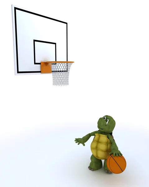 Tortue jouer au basket-ball — Photo