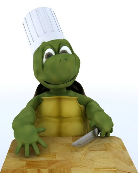 요리사로 거북이 풍자 만화 — 스톡 사진