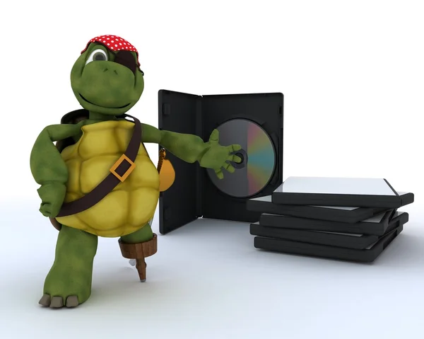 Pirate schildpad met dvd cd en software — Stockfoto