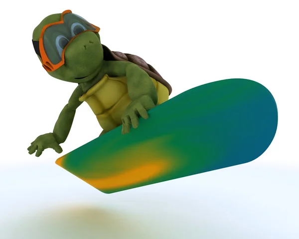 Bir snowboard binme kaplumbağa — Stok fotoğraf