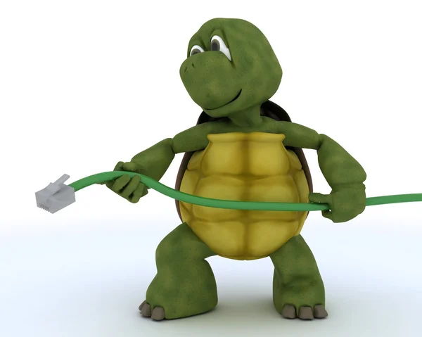 Tortoise with a RJ1 cable — Stock Photo, Image