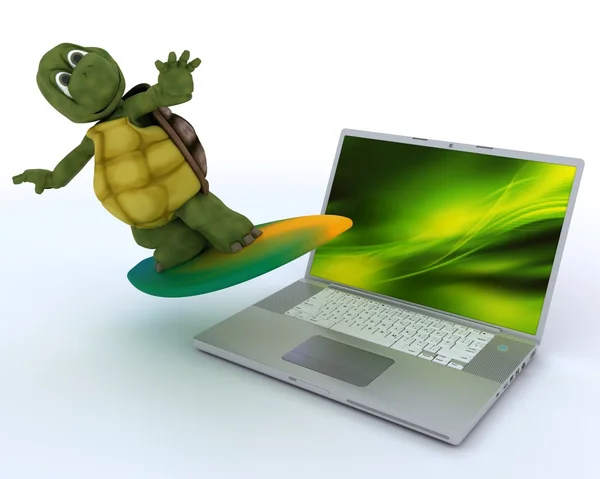 Sköldpadda med surfbräda och laptop — Stockfoto