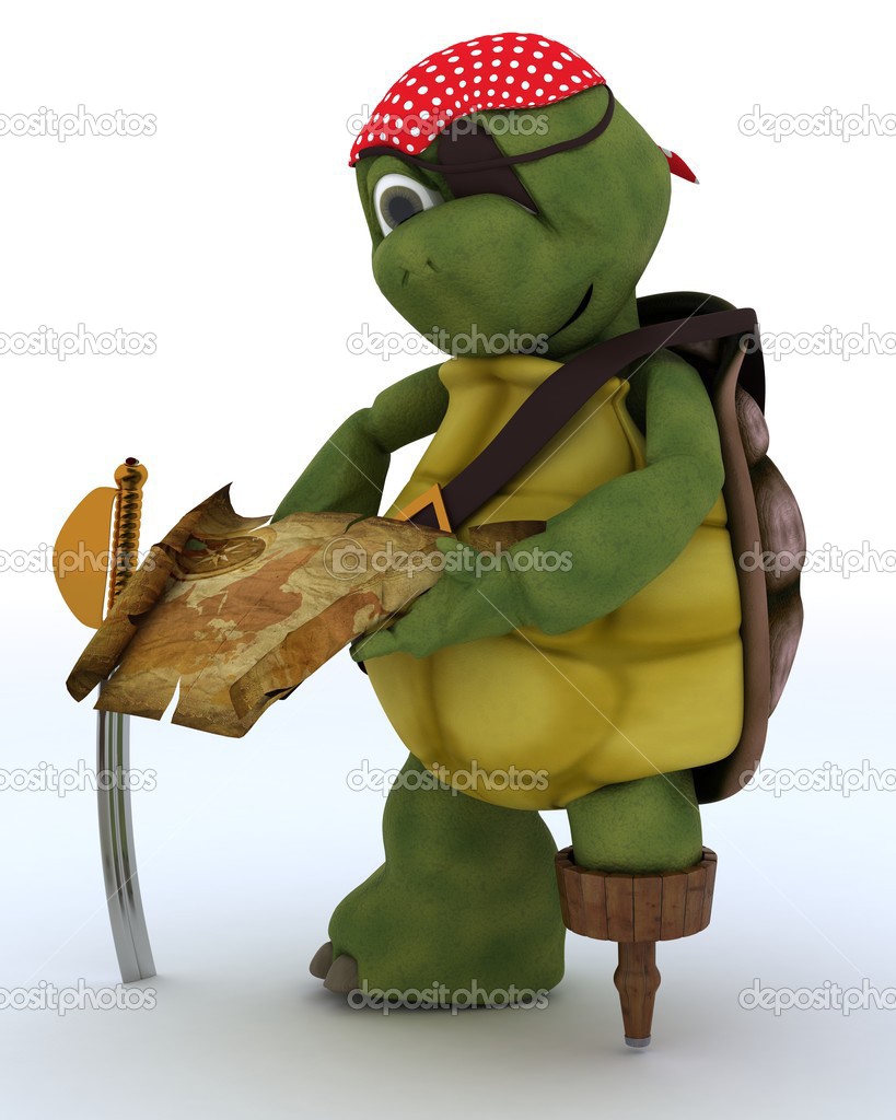 Tortoise dressed as a pirate