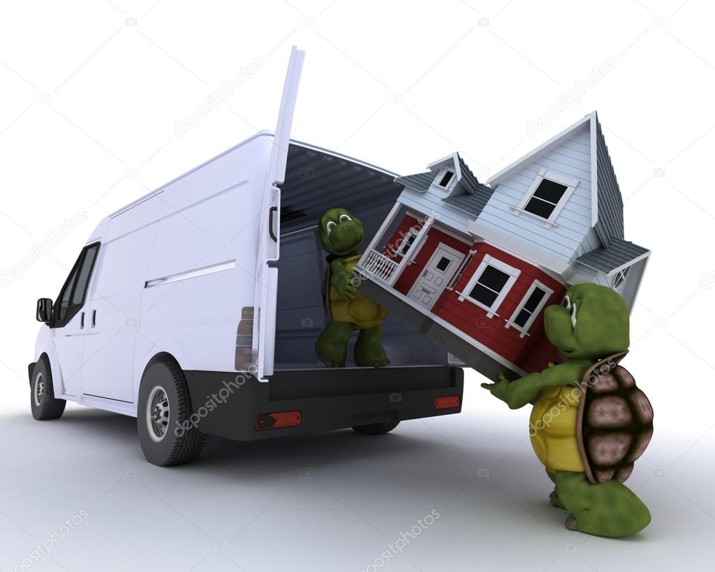 tortoises loading a house into a house into a van