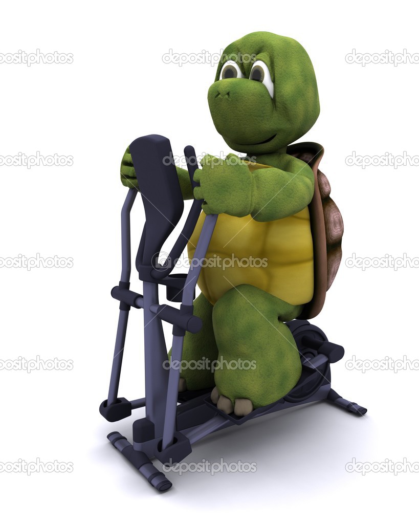 tortoise runnning on a cross trainer