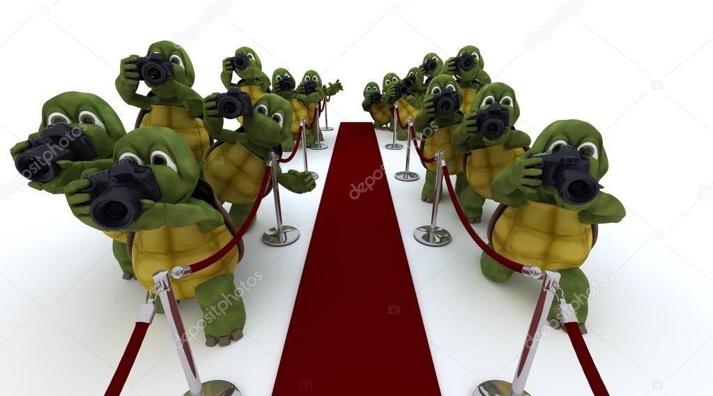 Tortoise Paparazzi at the red carpet