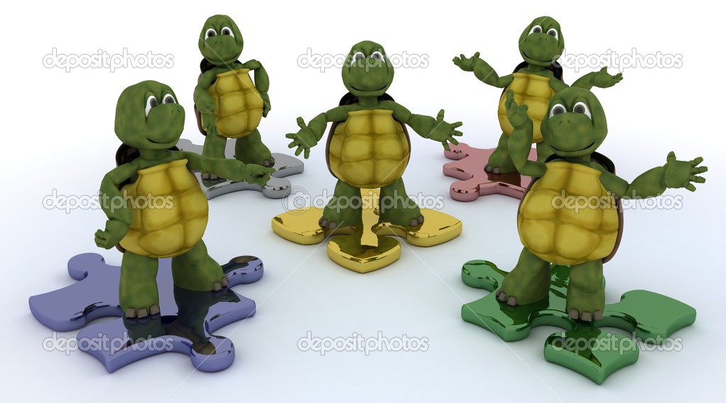 tortoises on jigsaw pieces