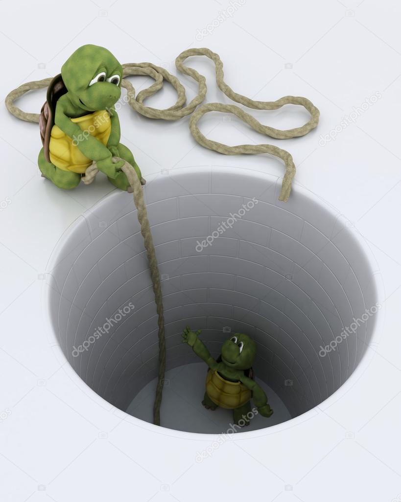 tortoise stuck in a hole metaphor