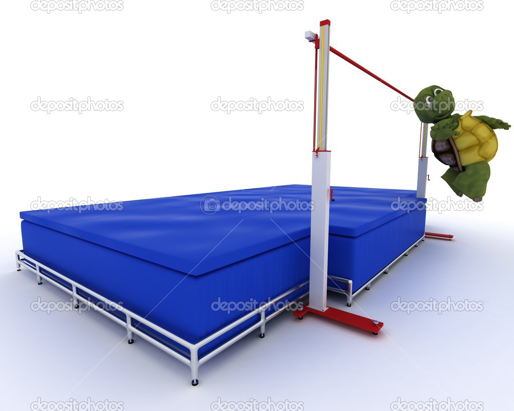 tortoise competing in