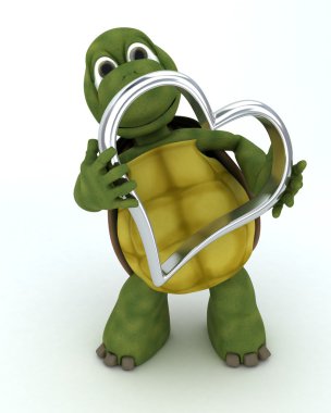 Tortoise kalbinde cazibe ile