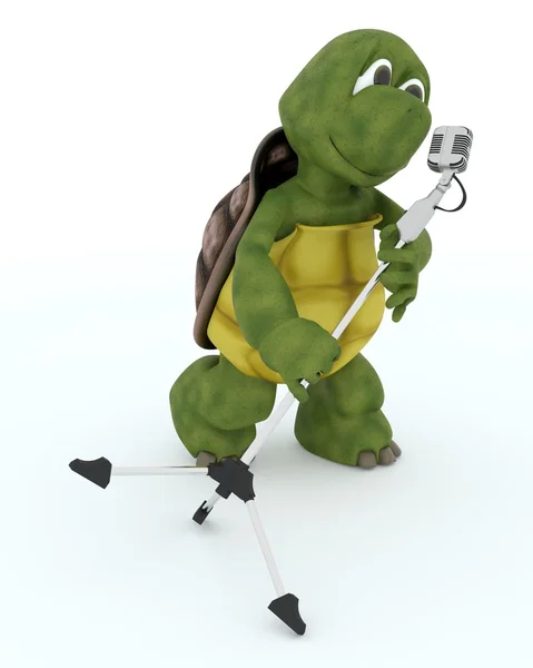 Tortoise singing into a retro microphone — Stock Photo, Image