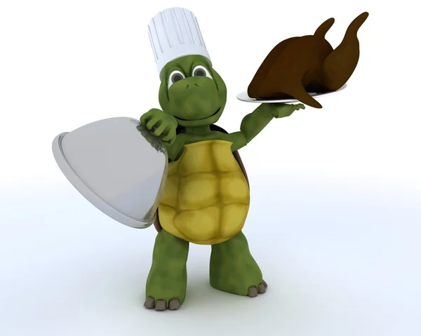 乌龟厨师与一只鸡 — 图库照片