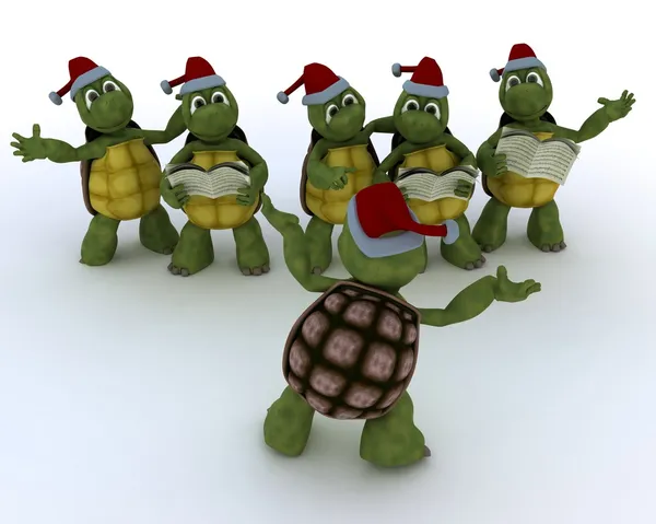 Schildkröten singen Weihnachtslieder — Stockfoto