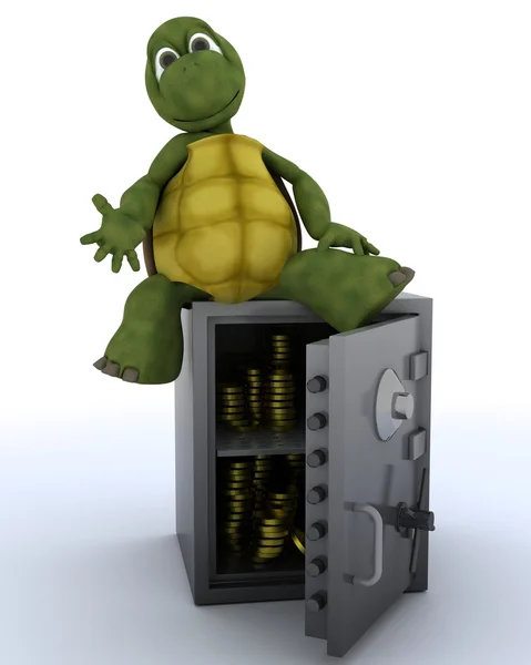 Tortoise sat on a safe — Stock Photo, Image