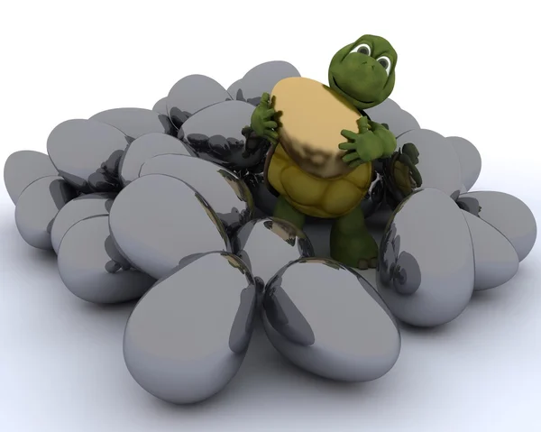 Tortoise with golden easter egg — Stock Photo, Image