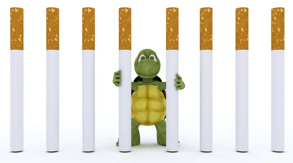 Tortoise escaping cigarette prison — Stock Photo, Image