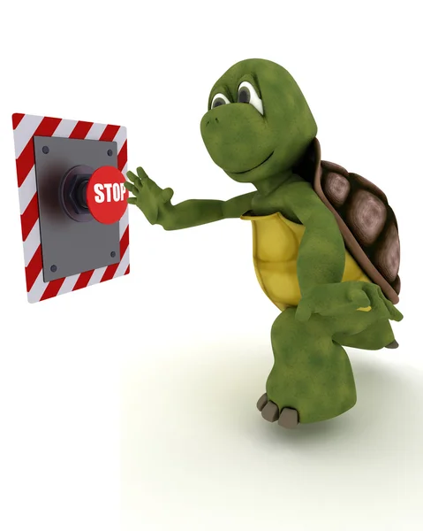 Tortoise pushing a button — Stock Photo, Image