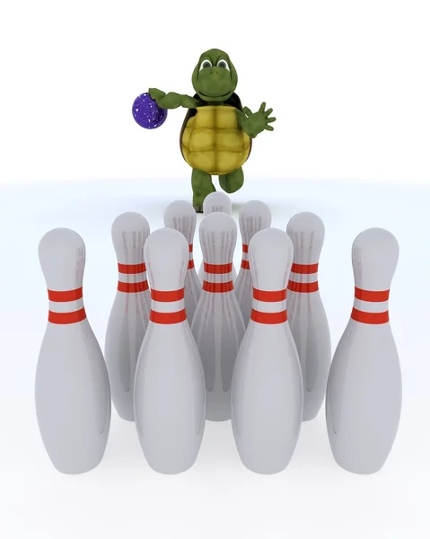 Tortoise ten pin bowling — Stock Photo, Image
