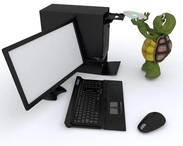 乌龟与一台计算机 — 图库照片
