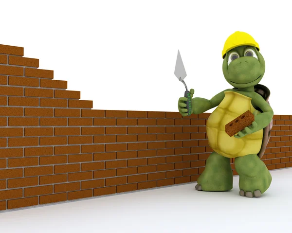 Tortoise building contractor — Stock Photo, Image