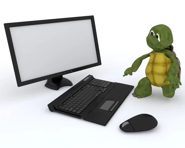 Tartaruga com um computador — Fotografia de Stock