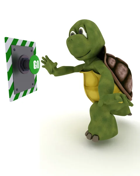 Tortoise pushing a button — Stock Photo, Image