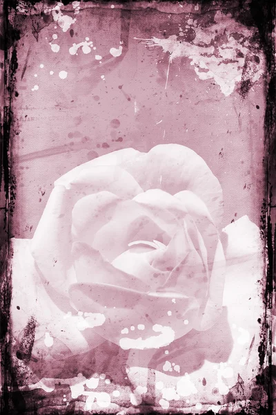 Grunge rose — Stockfoto