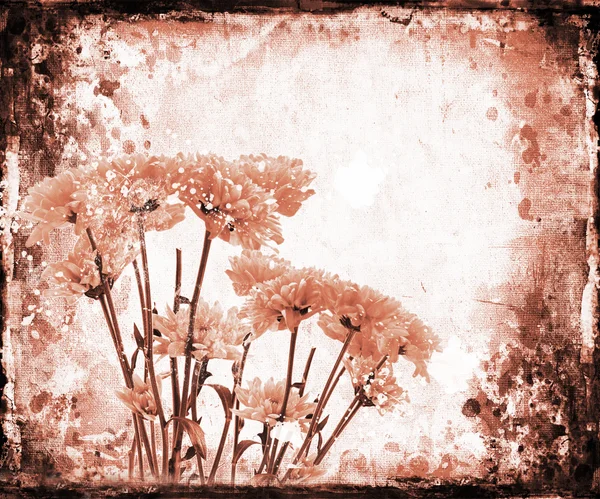 花卉 grunge — 图库照片