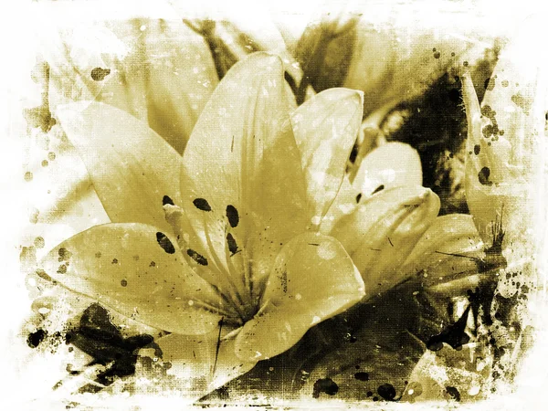 Grunge lillies — Photo
