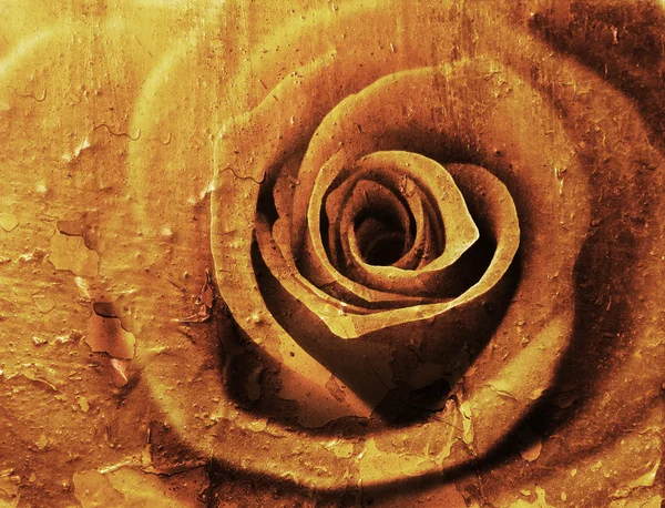 Grunge rose — Stock Photo, Image