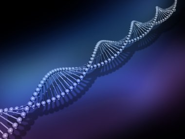 dna iplikçiklerinin 3D render