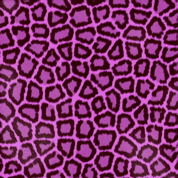 Pelo di leopardo rosa — Foto Stock