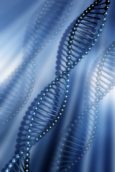 DNA strands