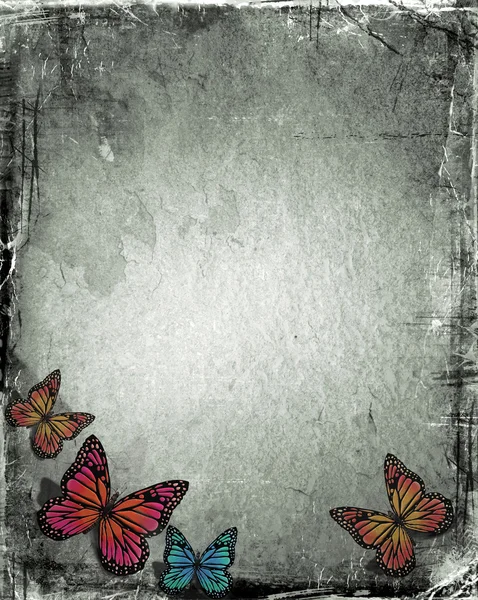 Grunge butterfly — Stock Photo, Image