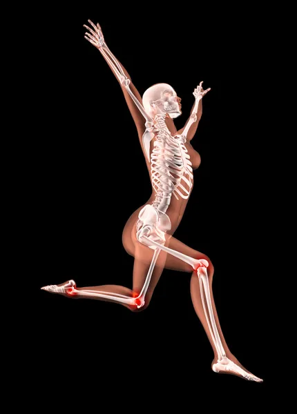 Springen weibliches medizinisches Skelett — Stockfoto