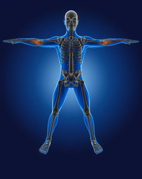 3D medyczny mężczyzna z szkielet — Zdjęcie stockowe