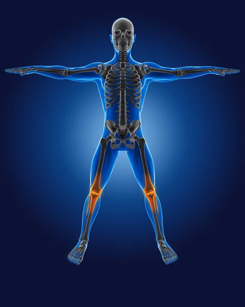 3D medical man with skeleton — Stock Photo, Image