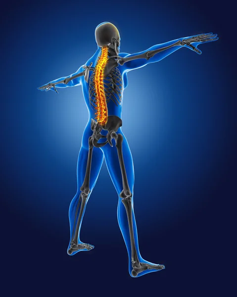 Homem médico 3D com esqueleto — Fotografia de Stock