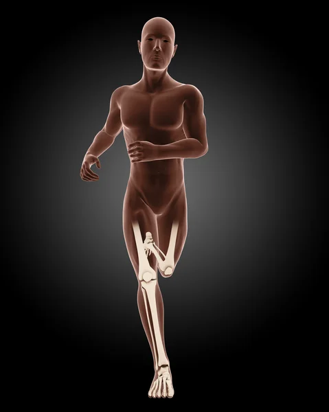 Running male medical skeleton — Stock Photo, Image