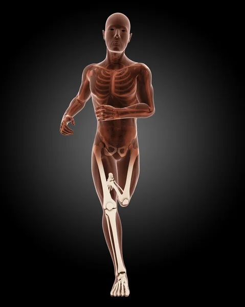 Running male medical skeleton — Stock Photo, Image