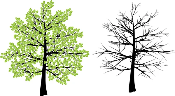 Spring and winter tree — Stock Vector